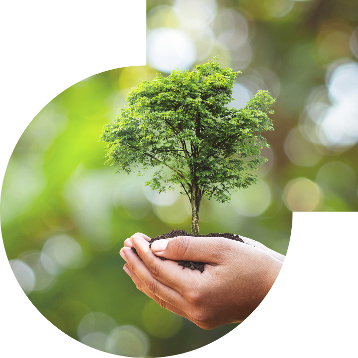 關懷人類、文化、環境與社會